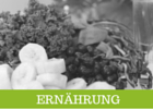 schnell abnehmen mit der richtigen Ernährung ohne zu hungern