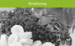 Alle Artikel Ernährung zum Abnehmen